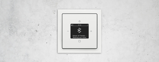Busch-Radio Btconnect bei Elektro Kohn in Wertheim
